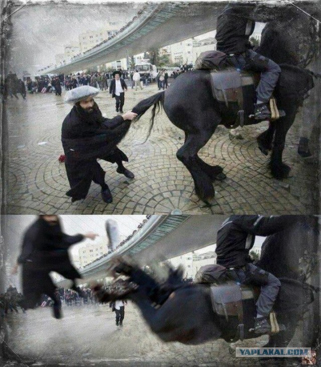Подборка интересных и веселых картинок