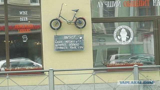 Питерские и околопитерские картинки