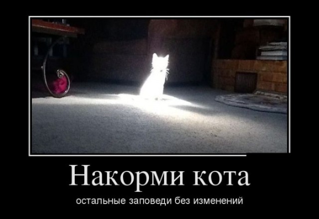 Авторский и не совсем адекватный юмор в картинках