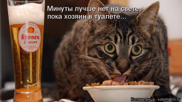 Поймали на горячем