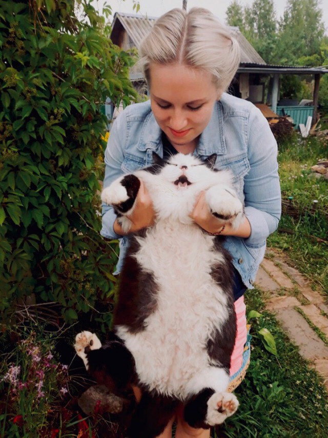 Прикольных котов пост