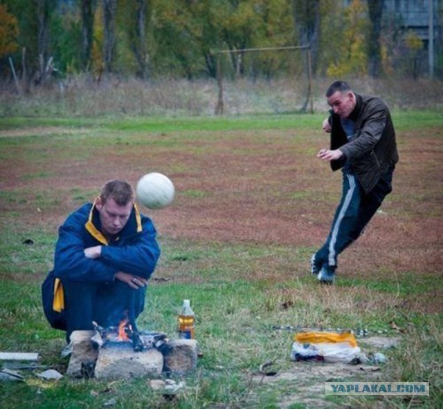 Немного картинок в эту пятницу