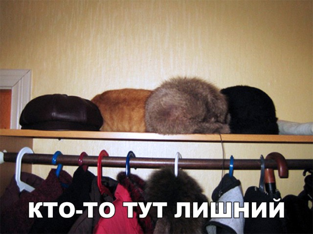 Немного милоты