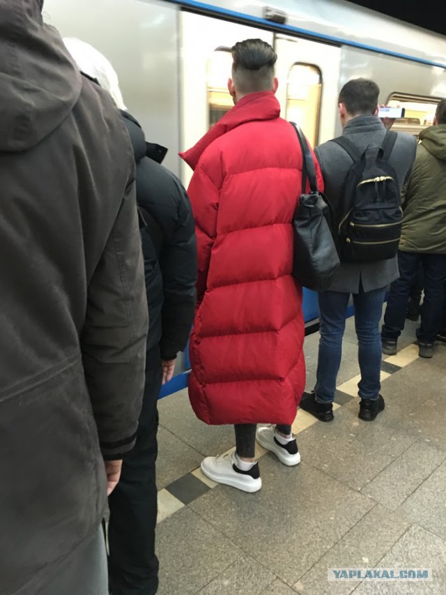 Модники из нашего метрополитена