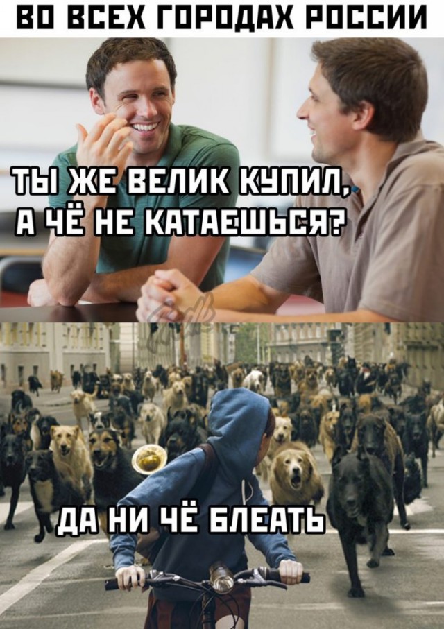 Немного картинок для настроения