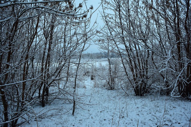 Деревенская Америка - 5