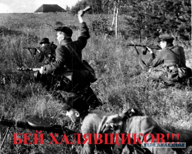 Около 13 комплексов фотовидефиксации сожгли в Раменском