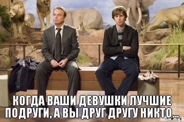 Немного картинок для настроения 20.11.19