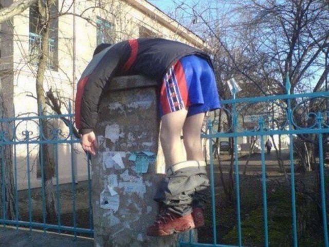 Скотсети и прочие интернеты 20.03.20