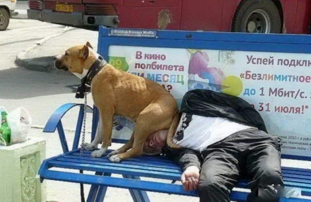 Скотсети и прочие интернеты 17.04.20