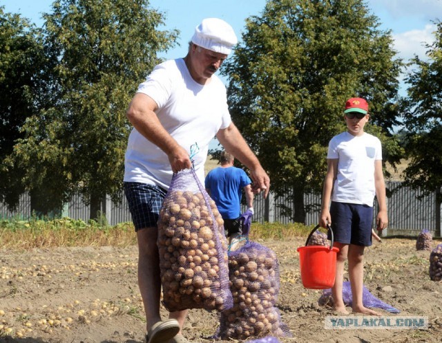 Беларусы сделали эмблему для России