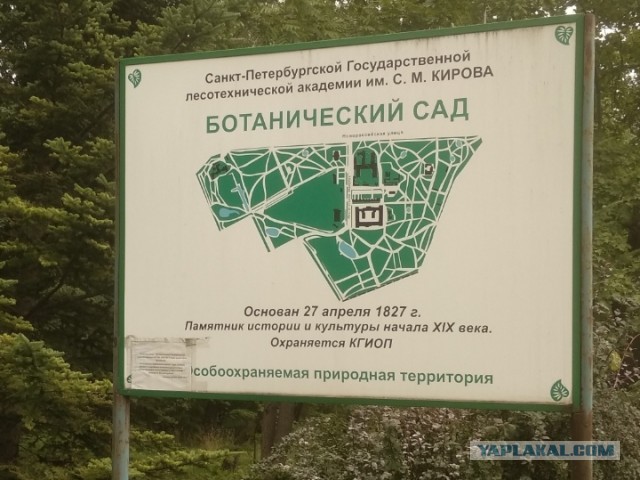 Любовь и верность