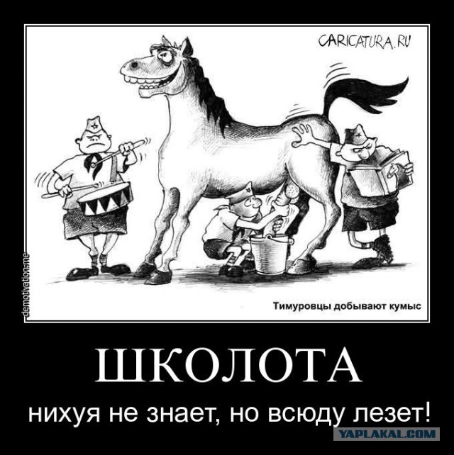 Жрун вместо кормильца: как выгоды семейной жизни превращаются в потери