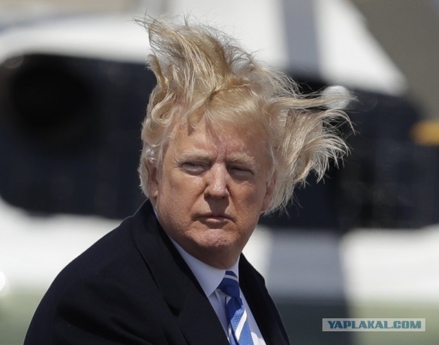 Фото Мелании Трамп в начале модельной карьеры