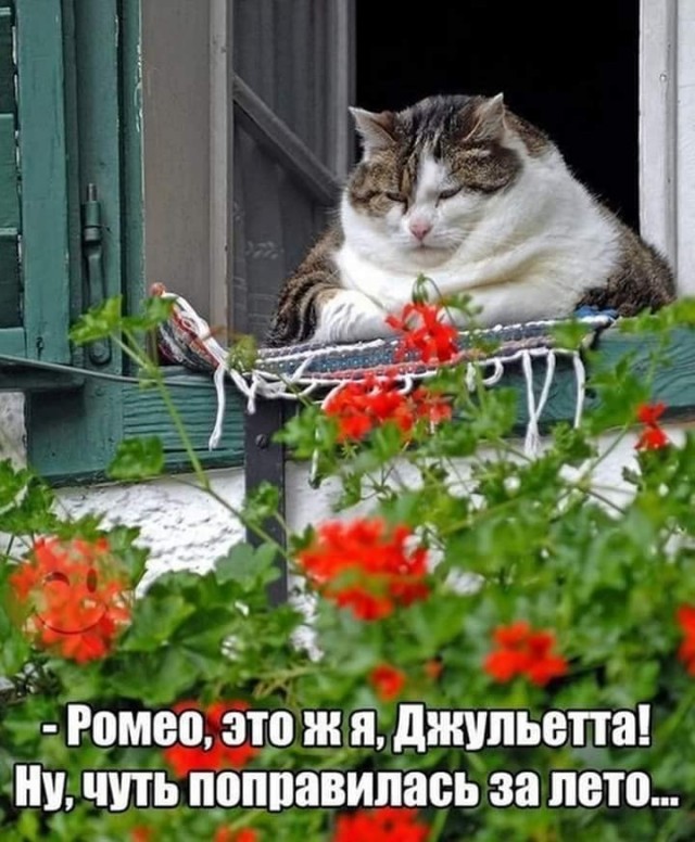 Бредзона 06.02.21