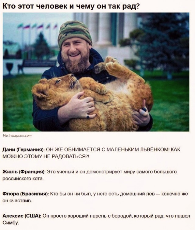 Насохранял