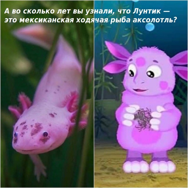 Весёлый полтишок 2.05