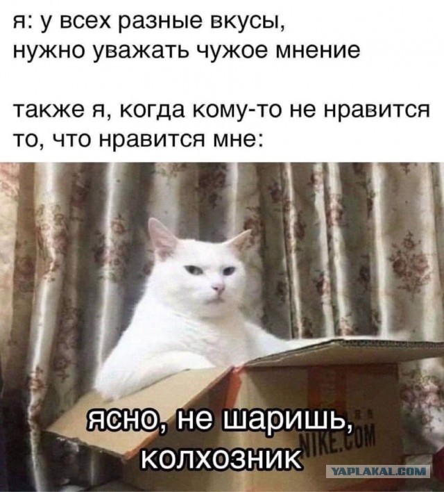 Весёлые картинки 26.05.21