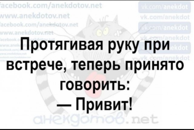 На злобу дна