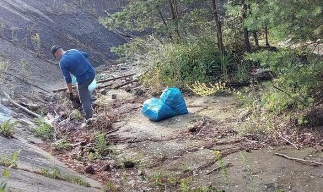 Польские власти разыскали мужчину, который просто так убирал лес. Оказалось, это белорус