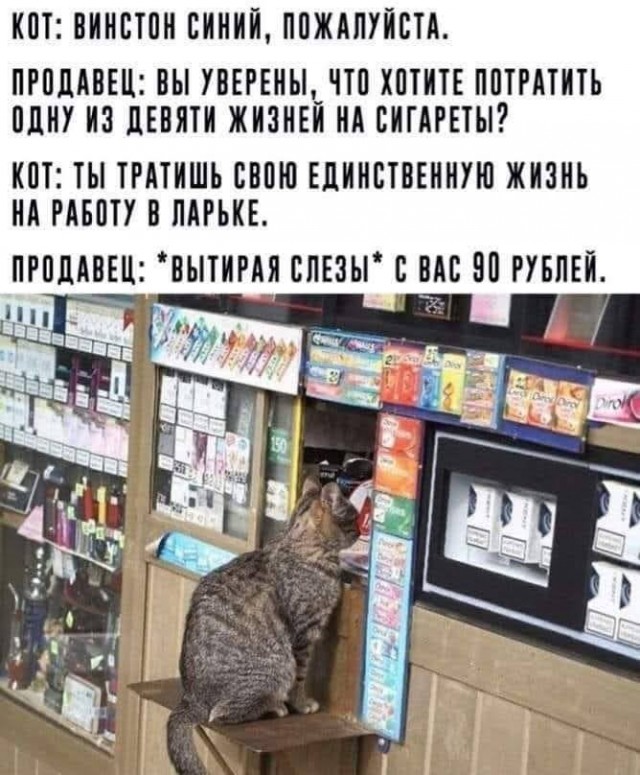 Всяческие картинки 08.11.2021