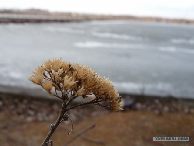 Мое творчество