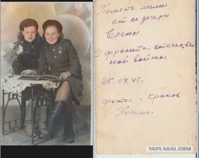 Красота спасла мир!