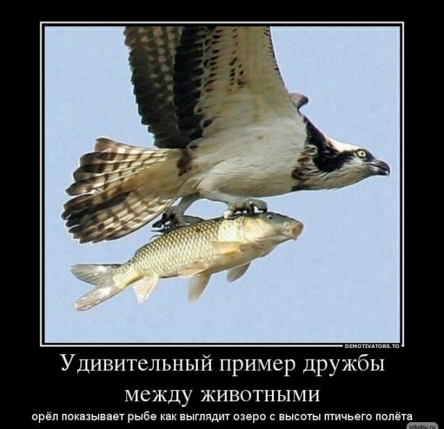 Мастер и Маргарита: разговор на Патриарших