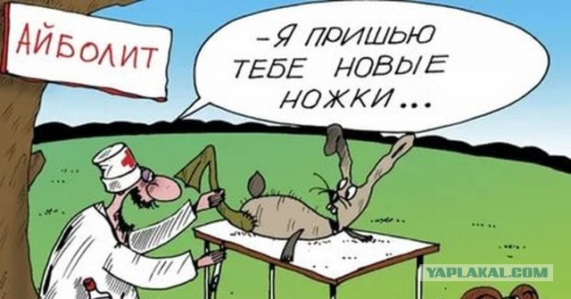 Все азиаты на одно лицо
