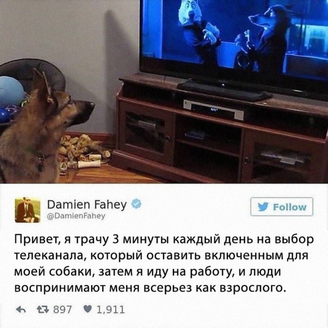 Немного картинок для настроения - 112