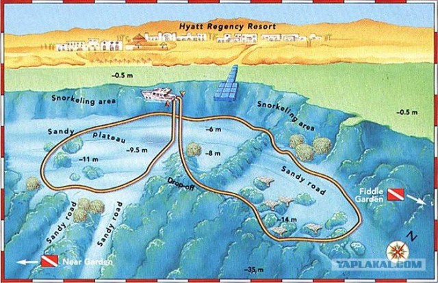 Синайские приключения. Шарм-эш-Шейх и окресности