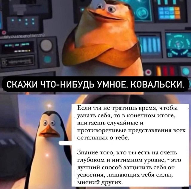 Народная меДИЧина 3017
