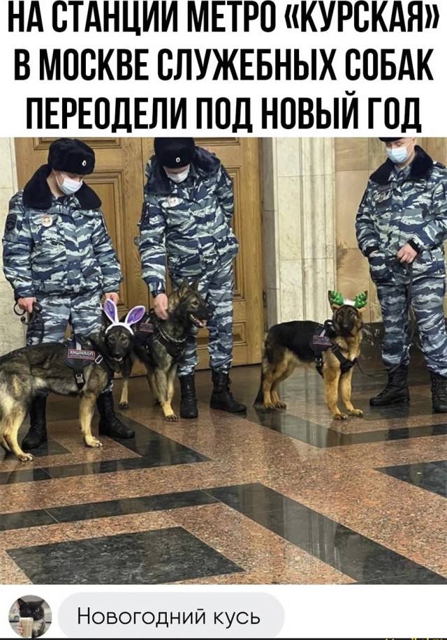 Немного картинок и прочей хреноты Vol. 19