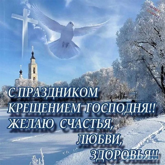 Победная поступь идиотизма по планете – том 6