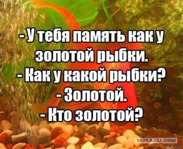 Кулинарная общалка
