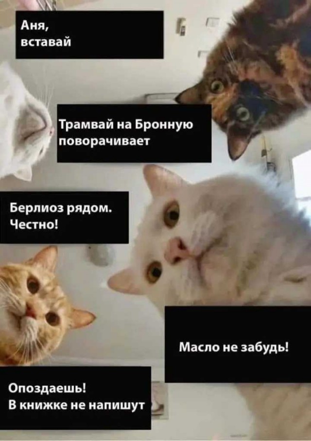 Среда пришла - неделя прошла, дорогие деграданты