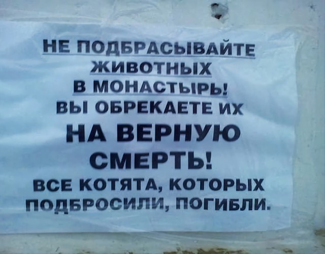 Всего понемногу. И снова пятничный.