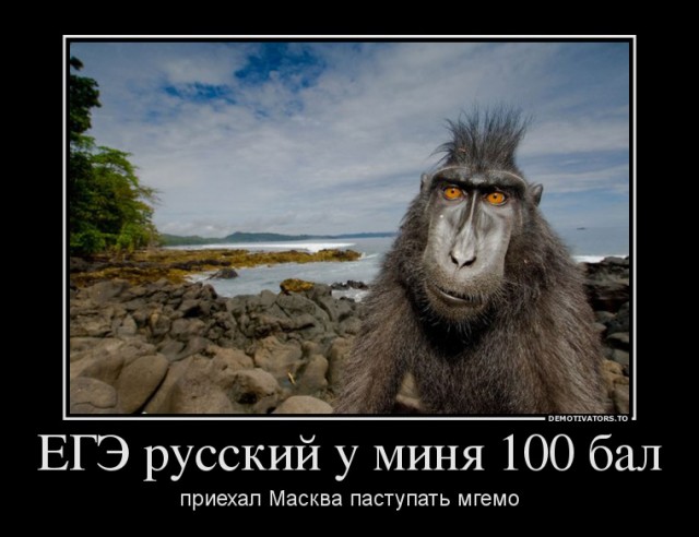 Мигранты напали на росгвардейцев