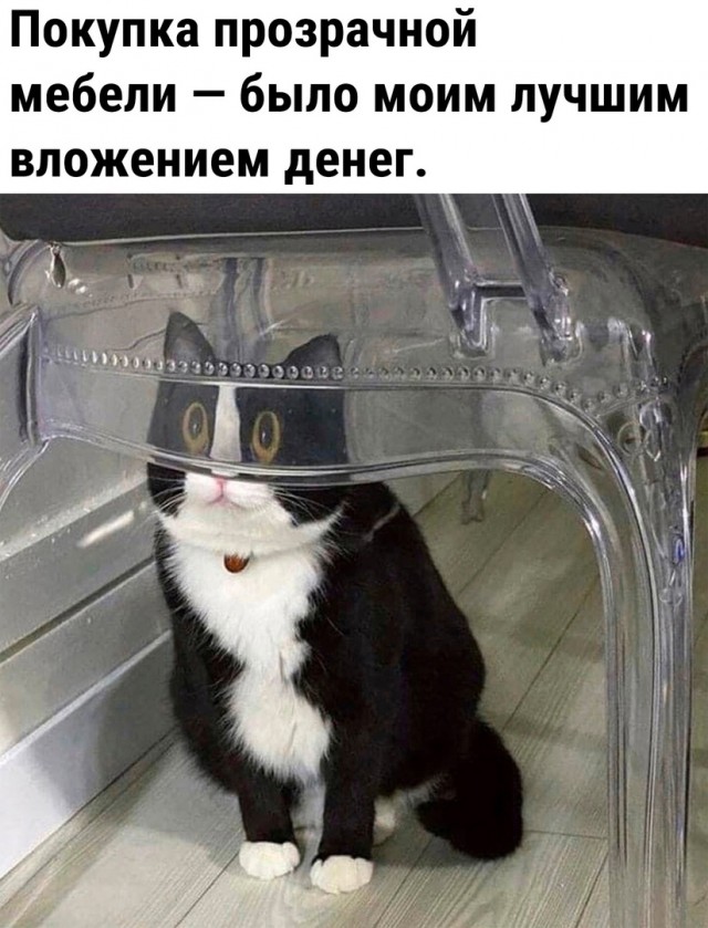 Так себе картинки 24.07.23