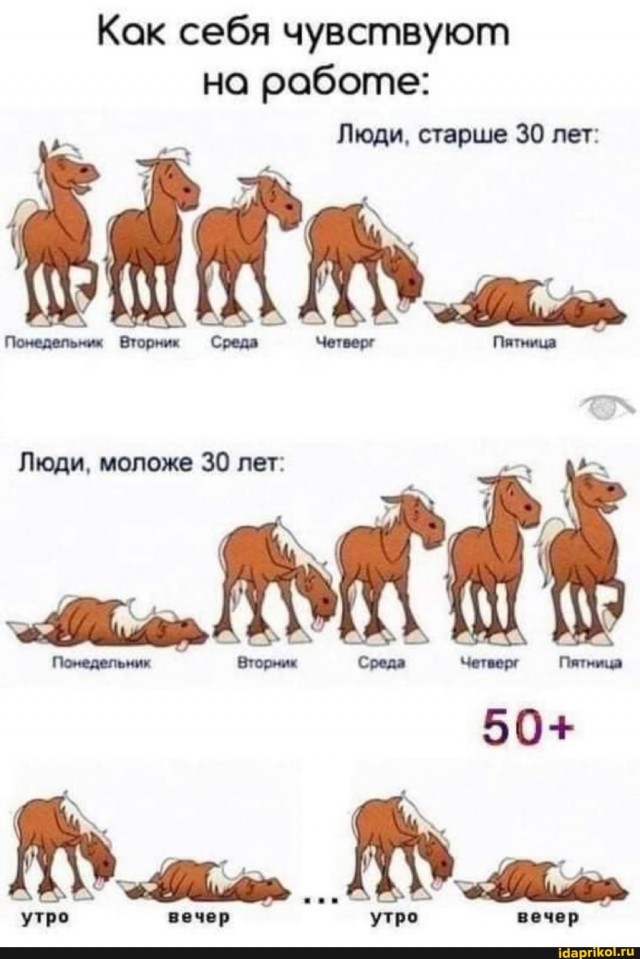 На пенсию наверное не пойду