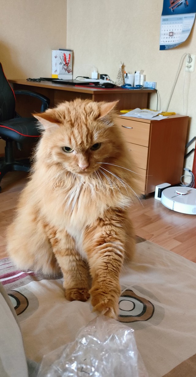 Опаснейшее животное