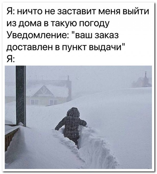 Забавные комментарии из социальных сетей (04.12.23)