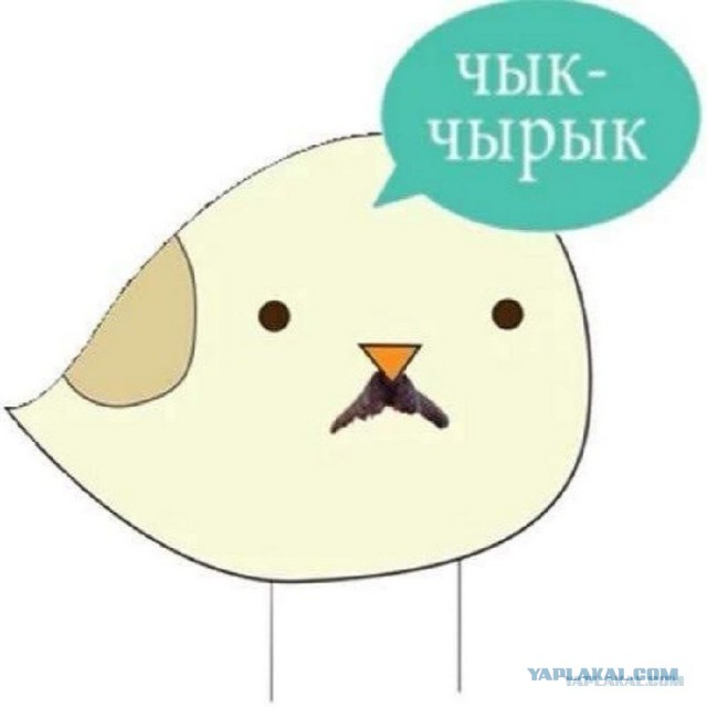Воробей над Эльбрусом