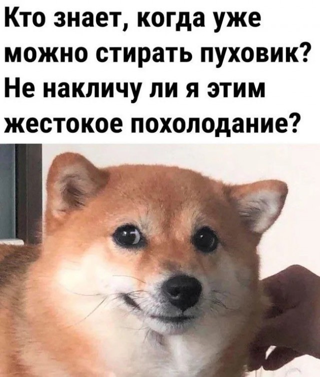 Немного обо всём