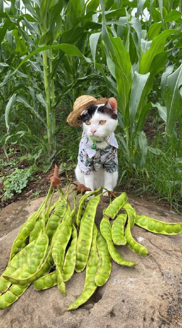 Когда батя присылает свои фотографии с дачи