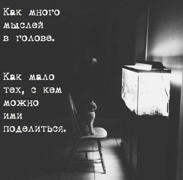 Прикольные и просто красивые картинки 14.06.24
