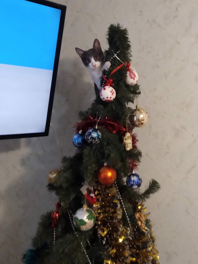 Миссия выполнена