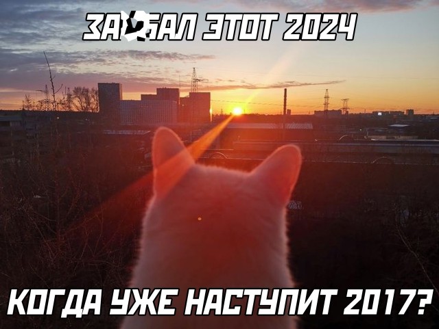Так себе картинки 21.12.24