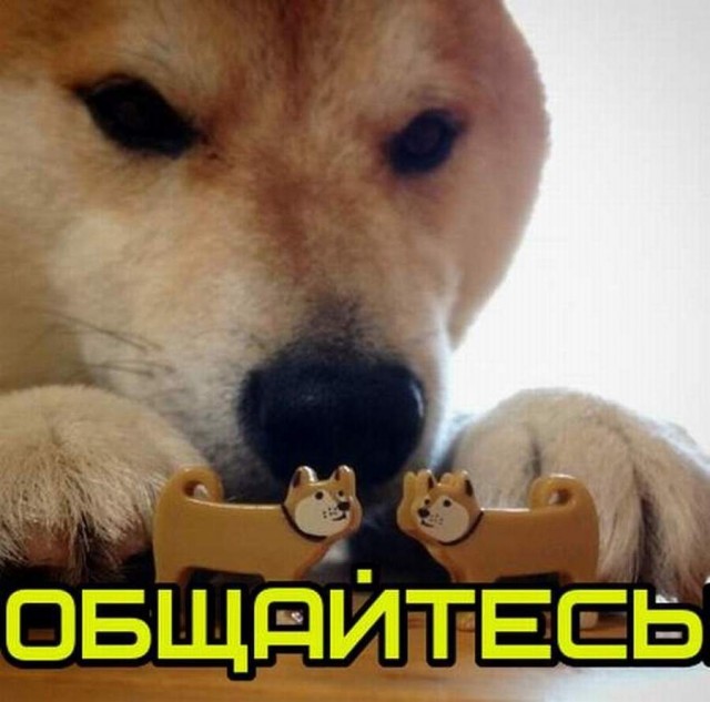 В Минпросвещения предложили вернуть школьные дискотеки для повышения рождаемости