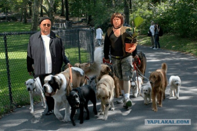 Фотожаба: Странная парочка